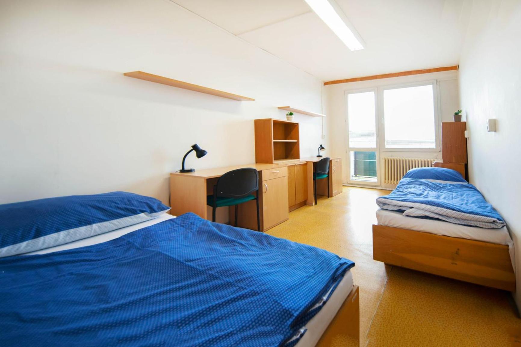 Hostel Blanice *